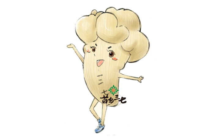 吃三七的五大禁忌，你知道嗎？