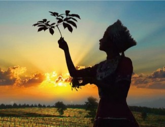 吃三七要在什么年齡，又有什么好處？?