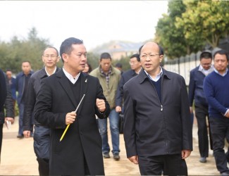 云南省委常委、副書(shū)記李秀領(lǐng)一行到苗鄉(xiāng)三七科技示范園考察調(diào)研