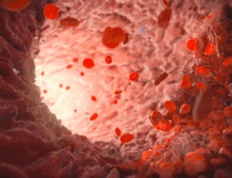 為什么三七被稱為“血管清道夫”？