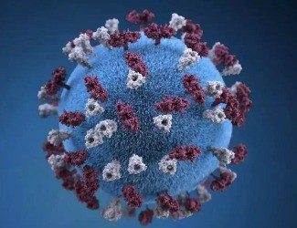 三點告訴您：三七憑什么成為抗“新冠狀病毒肺炎”成員！