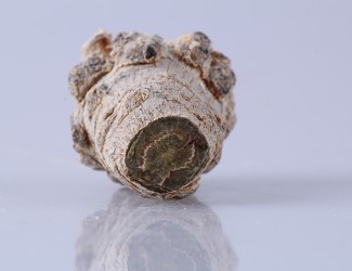 三七粉吃多長(zhǎng)時(shí)間有效？ 三七品質(zhì)最關(guān)鍵