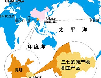 三七產(chǎn)地哪里的最好，廣西田七與云南三七有何區(qū)別