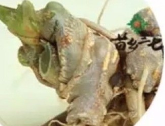 買三七注意事項(xiàng)，帶剪口和不帶剪口的巨大區(qū)別