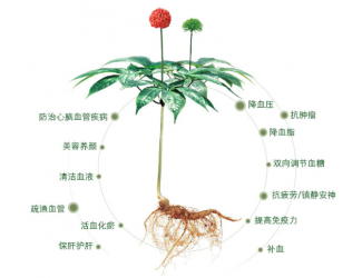 三七救人無國界，美軍飛行員曾受益