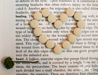 三七片和三七粉的區(qū)別，三七主根加工炮制的衍生品