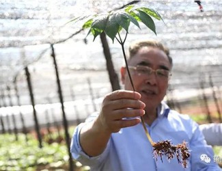 張伯禮院士這樣說三七！