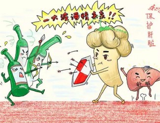 春季養(yǎng)肝正當時，三七保肝有奇效