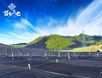 慢性咽炎怎么辦，秋季養(yǎng)生有妙招