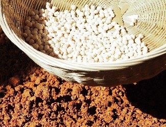 三七的一生——建棚、播種（二）