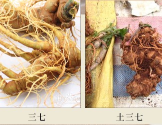 三七對肝臟有副作用嗎?長期服用“土三七”竟然徹底毀了肝!