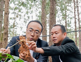 三七良種喜獲豐收，實現(xiàn)產(chǎn)量含量雙突破！