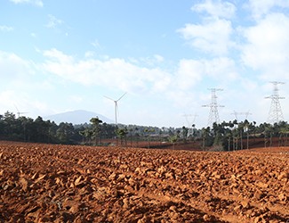 三七土壤危機(jī)何解？官會(huì)林教授開出“生態(tài)藥方”
