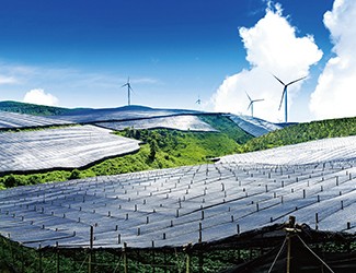 董林林博士如何看待苗鄉(xiāng)全產(chǎn)業(yè)鏈品控管理體系？