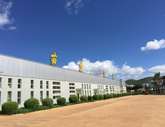 見(jiàn)證：一株三七的卓越“出廠歷練”