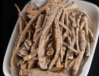 什么是三七大根？三七大根與主根有什么不同？